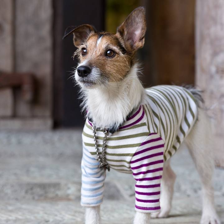 7b84f50c d473 451e b66b d51c9bea62d1 1526511059063