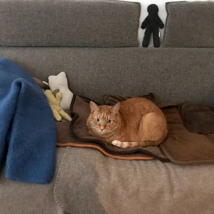 7b84fc7f 160e 48e5 8ce4 e1d5e20f316f 1574760054215