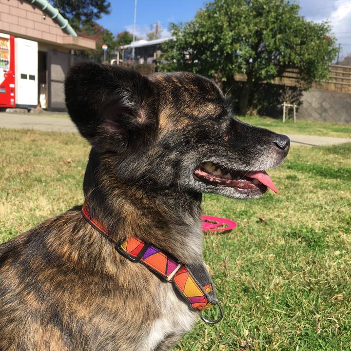 7b8564aa 99ae 4a6d a525 0616cd0ce6d7 1509762786899