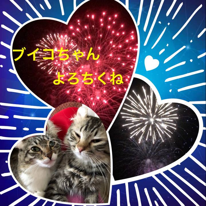 7b858f92 abfc 4df1 9c74 4ca243af6ef1 1534920652699