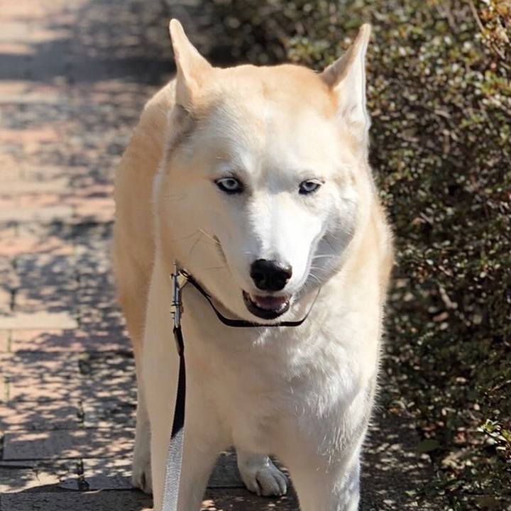 7b85af20 34c5 4ee5 b7f4 ade7a42940d0 1646450626989