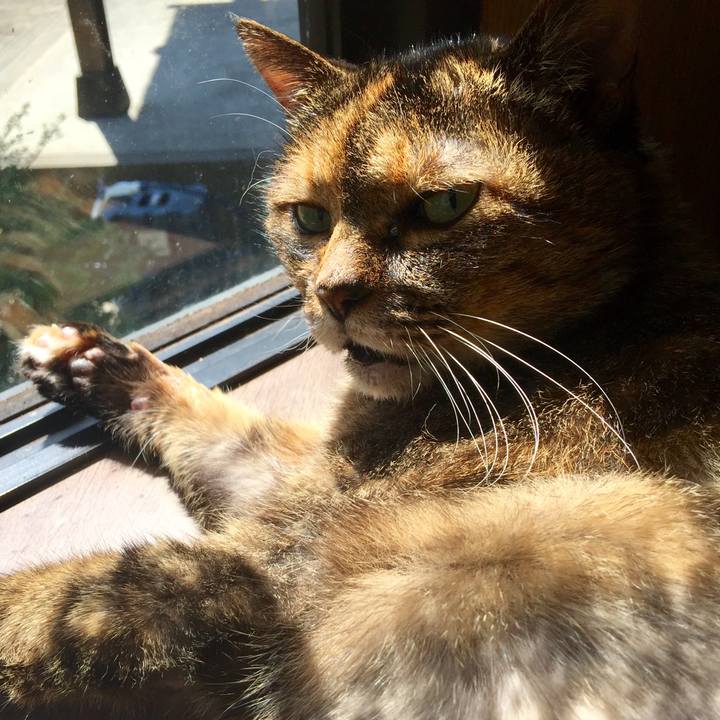 7b85b0ae 4d33 46e7 a5f6 4e5346d4bb0f 1560834129369