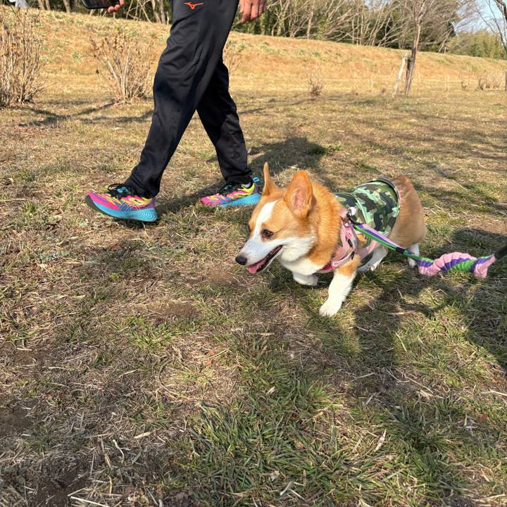 7b85bb69 2f27 483f ae2e 86f04ae0dd23 1771771844552