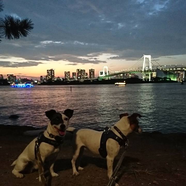 7b86237e ef5c 4b6e 832c 1cf180d20c69 1535623471806