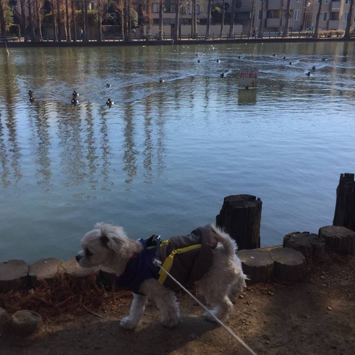 7b865823 6788 444b b14f 11fe3622c1d8 1518933995519