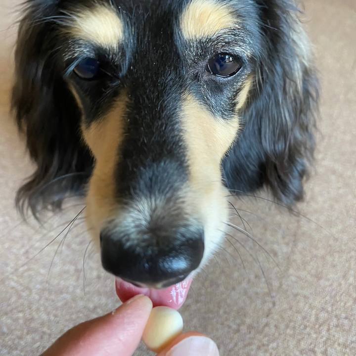 7b8662b1 81dd 4748 aec8 91b94b1ce6c0 1686980726797