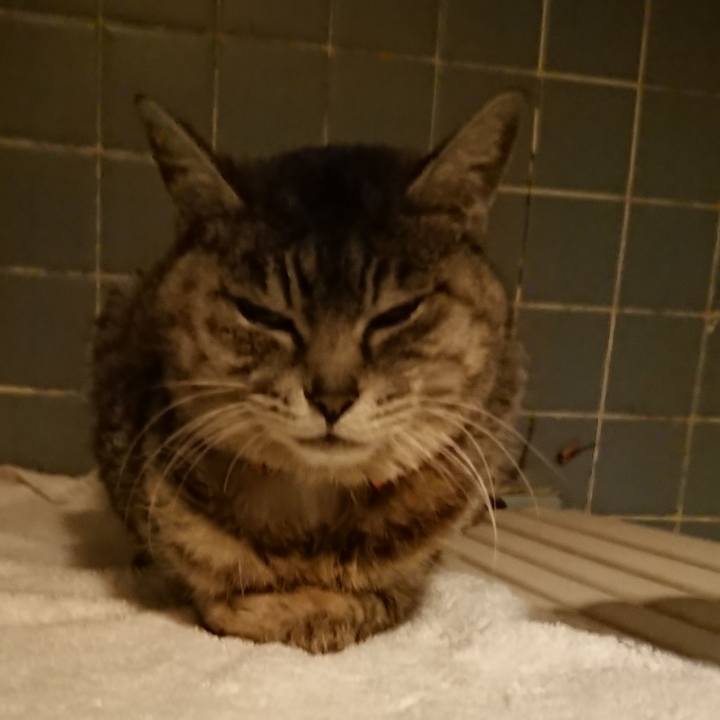 7b868953 7ade 4302 ba40 6ff22947ac1b 1584870639575