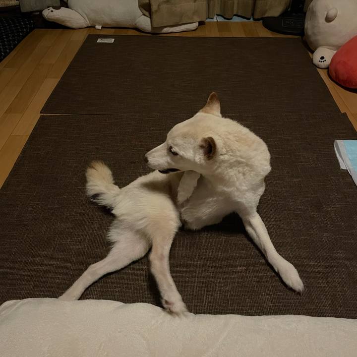 7b86c970 4f3d 466b 926f ae3da2173410 1666295815044