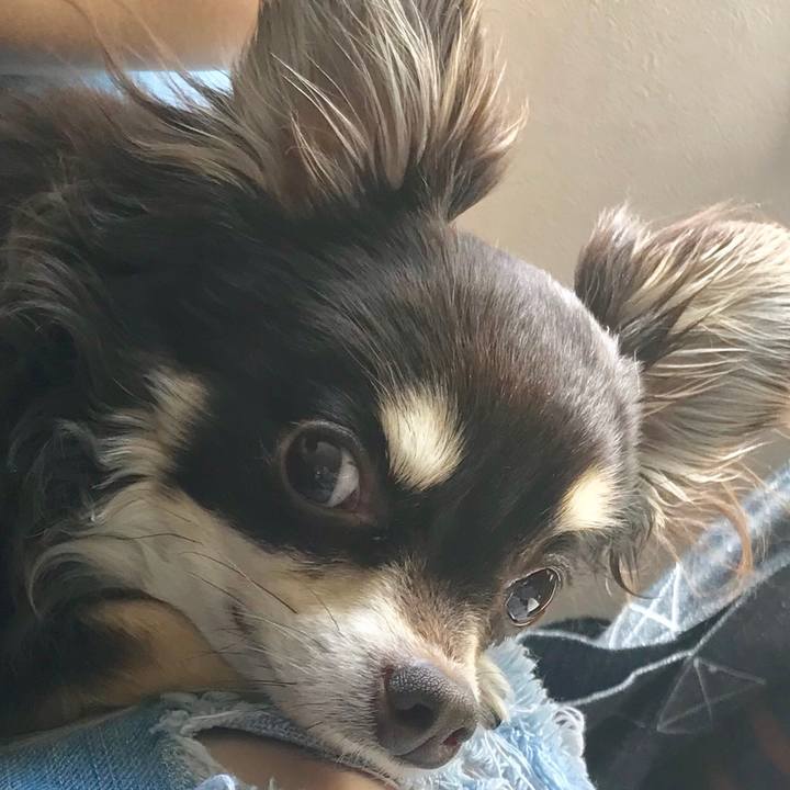 7b86e5cb 3632 4655 9434 9e753e691266 1525004242163