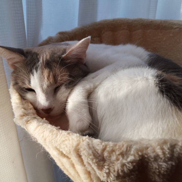 7b86f25a 6b94 4303 884c 87dc3fe09d98 1604029812558