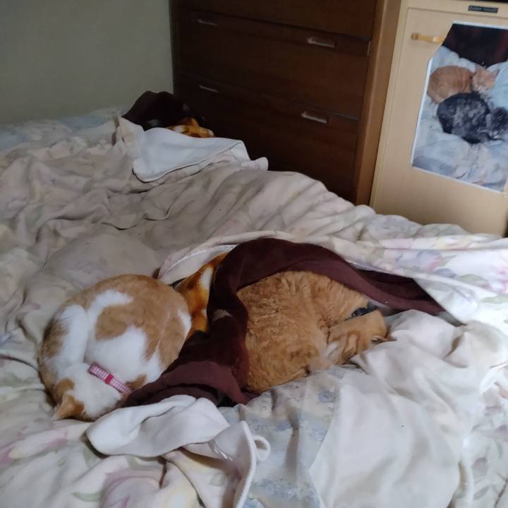 7b871cdb 7cc0 4adc afcf 360884608ed5 1743115324326