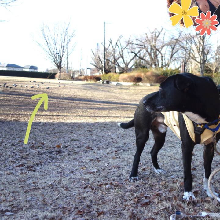 7b8721e4 2715 4d40 8bb7 b9c5b60fb0ad 1645058726955