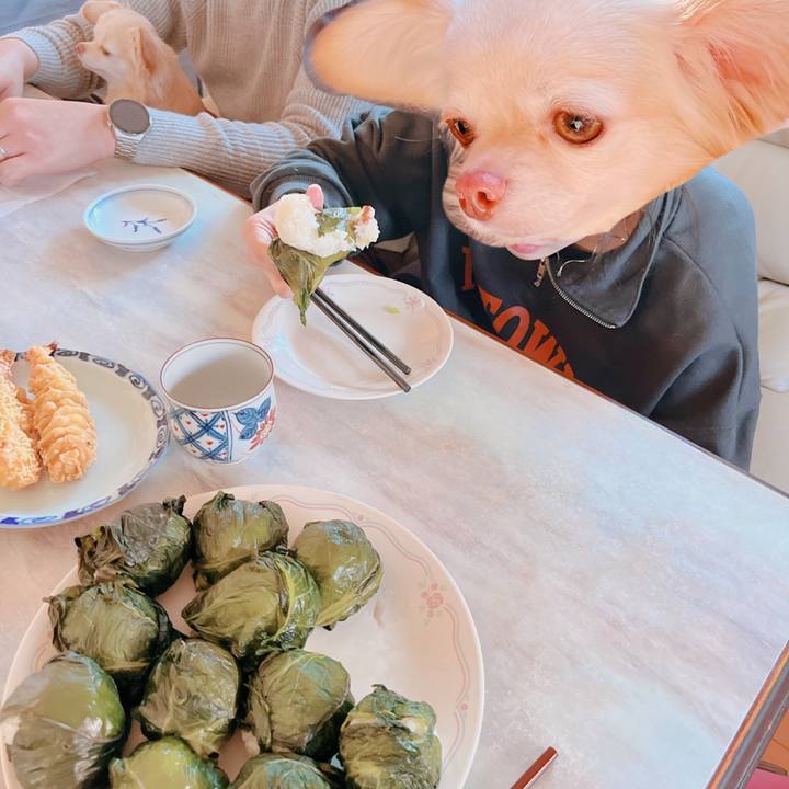 7b874892 cd4c 4ab3 a6c8 c26bfb0439d8 1673176989712