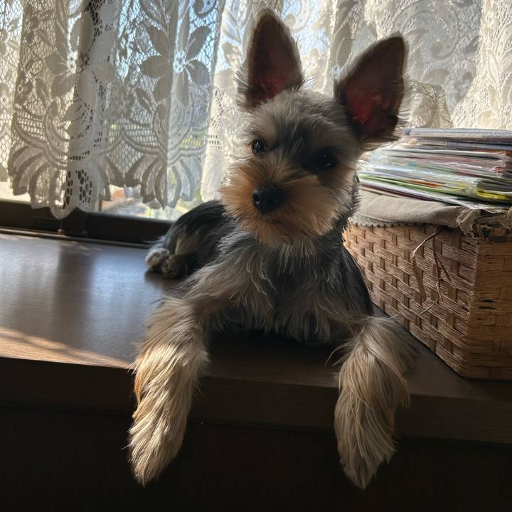 7b874b7b 797e 4e52 a10a 8feb6cef8ad3 1731053022207