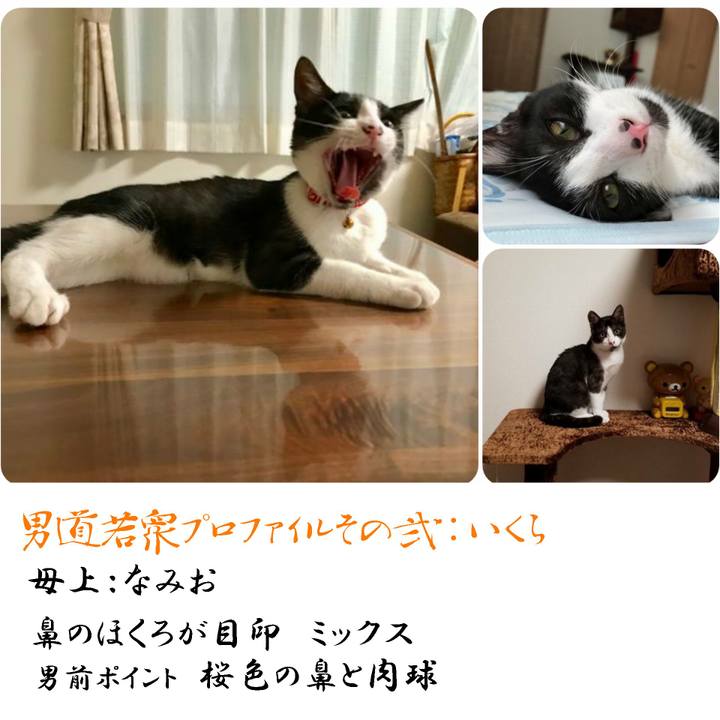 7b8761da a5dc 40b6 b7e0 7198cd0ae928 1566992609392