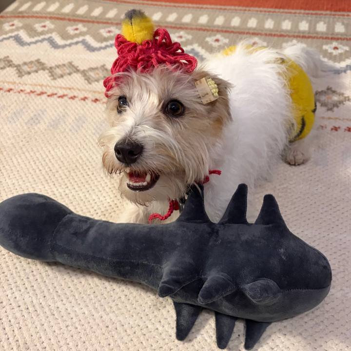 7b876ef9 0618 4587 aba2 0b426ab8f77a 1770109523312