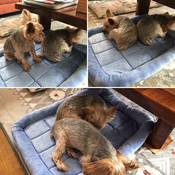 7b8784b9 192d 4b54 98a3 081df3f0ef7d 1601718644382