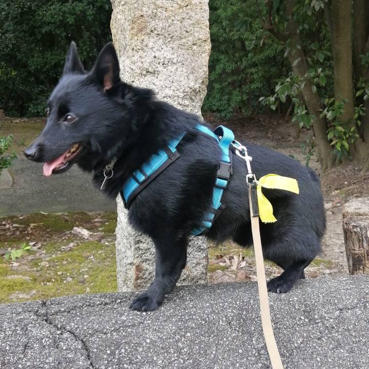 7b8787b7 c8af 4bb8 9e5e 3005b6473851 1663365674177