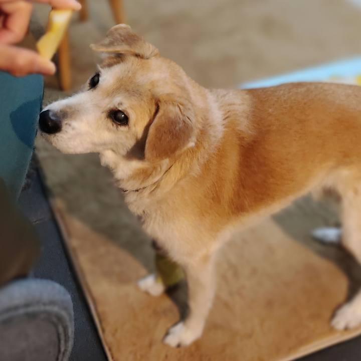 7b878e56 db78 44ce 9f12 7a3a547382a0 1674171036802