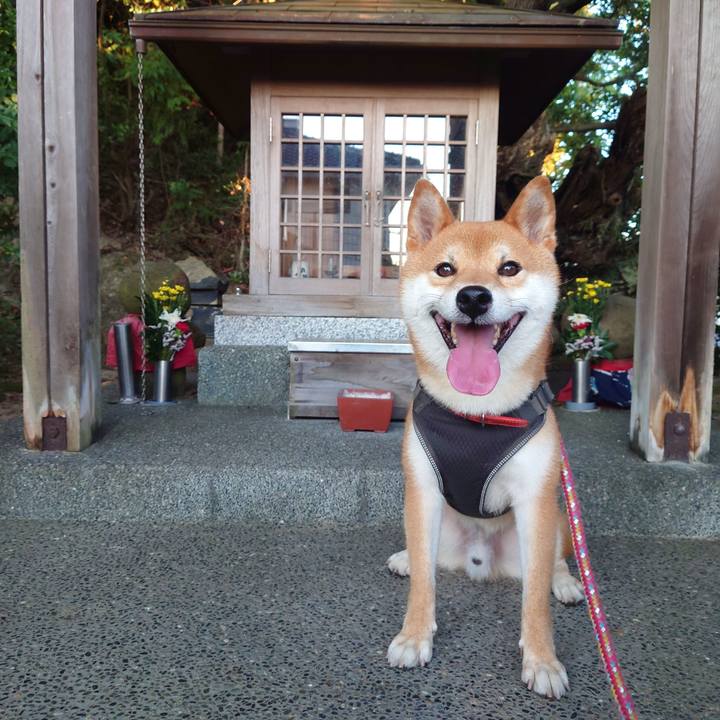 7b87a3ee 6c87 4694 8d29 a40f509ba18c 1756692516443