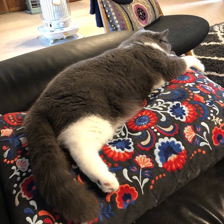 7b880359 013a 416e aaf0 693d9d3831ba 1576370992186