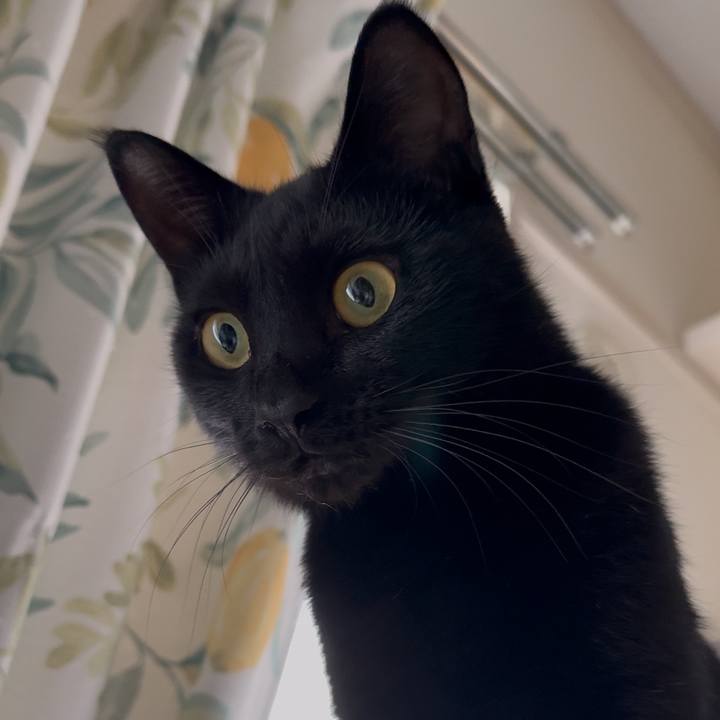 7b884c66 2144 4769 af78 e5d447881582 1760314492481