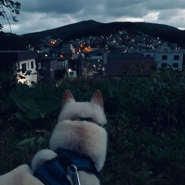 7b885dd9 e2a6 47a1 bd3c 1644598af25c 1663100617217