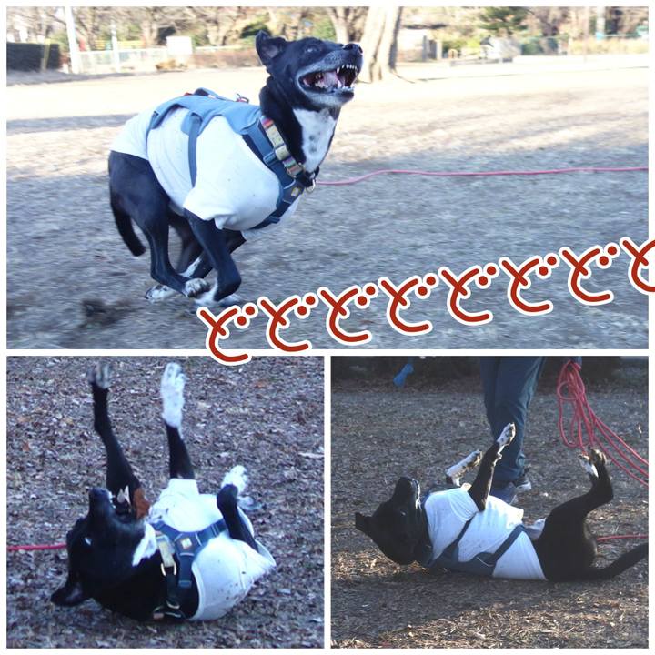 7b886933 6674 4c82 ac11 3deabfa42d18 1704762190235