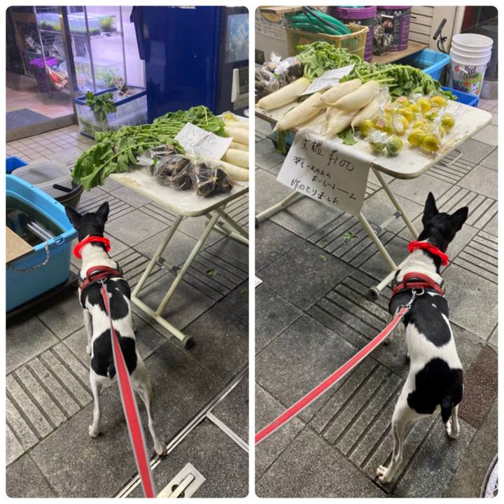 7b88863e 10e5 405f af1f b297317161d9 1605616851699