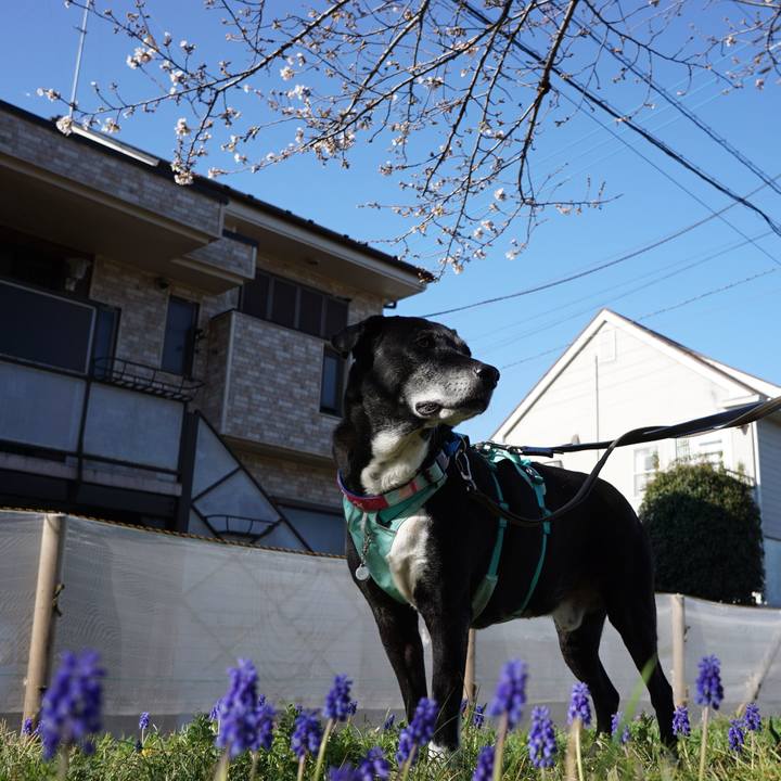 7b889a28 5cbb 4d47 b90a bf1212451591 1774316801965