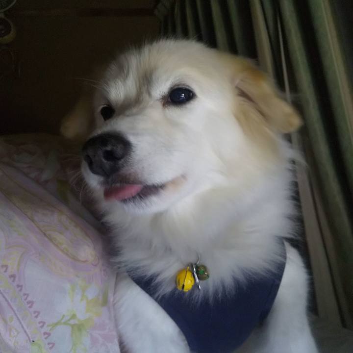 7b88abe2 1cc0 46f1 babd 9da99611eefc 1638221696551