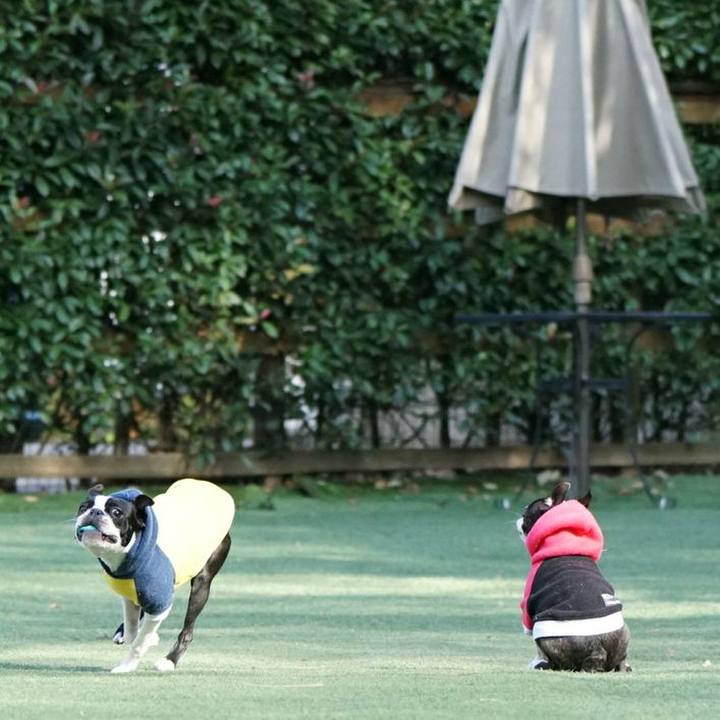 7b88dfe8 0267 45fc 80d8 3496b383b950 1513319105308