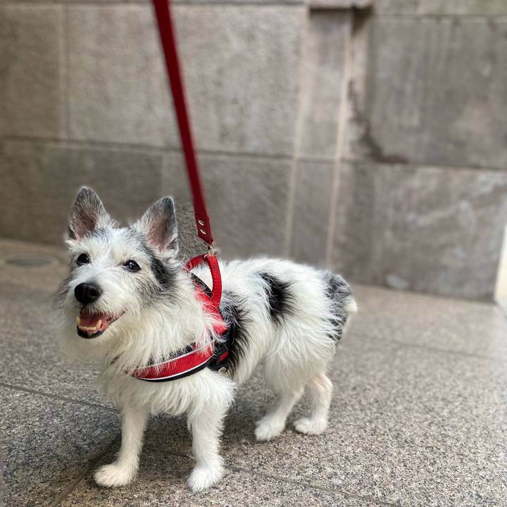 7b88e149 9901 4f30 ac11 3af891e31434 1621855923683