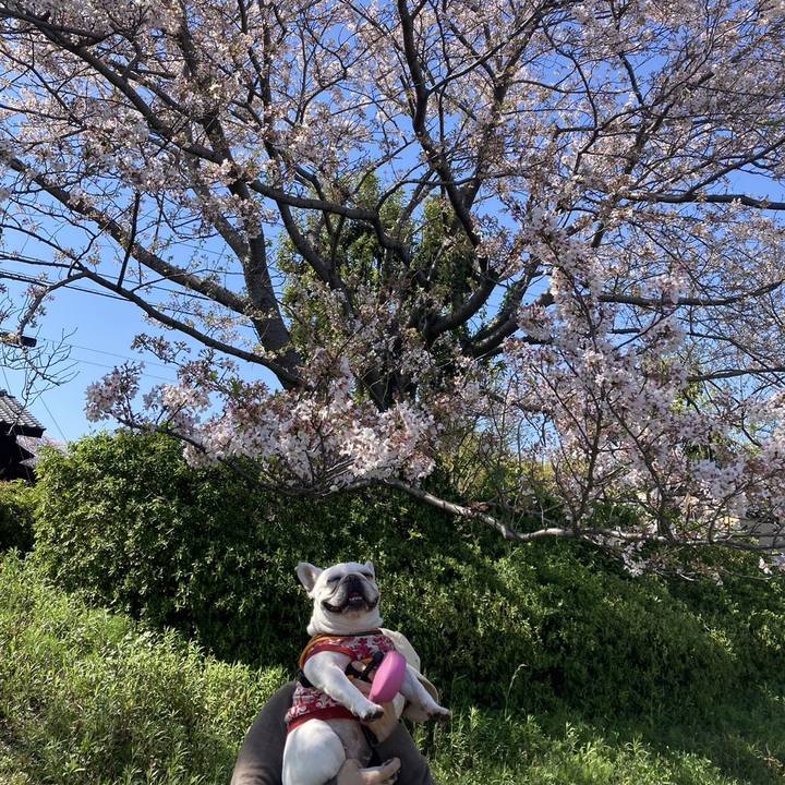 7b88e8aa 3b40 49d2 b414 6a9cb09da94c 1712739861180