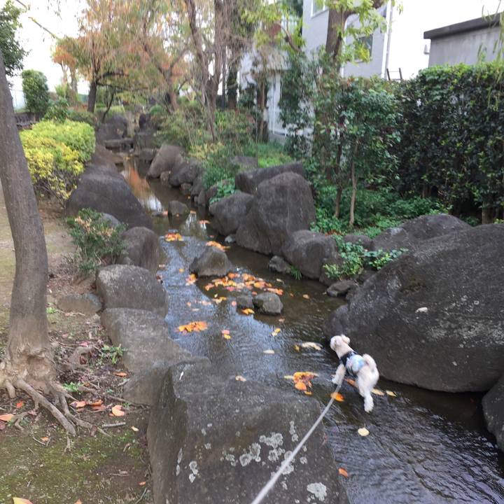 7b89349f f5d7 4095 9d3c e688cf411e80 1542351259829