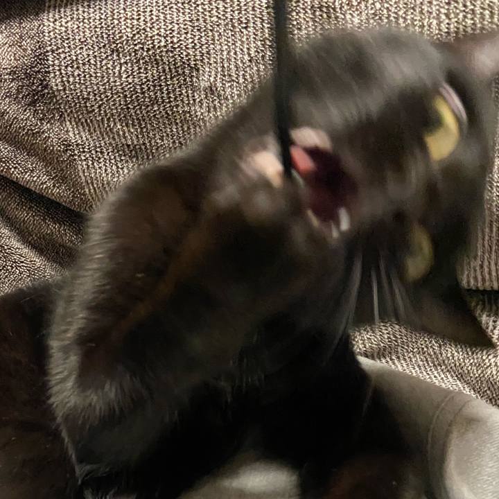 7b896deb c419 4193 9fcf 055f58a8f0b3 1619523361425