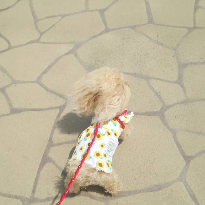 7b8972e4 67a1 45c5 833f bbd5cfd4211c 1558875282845