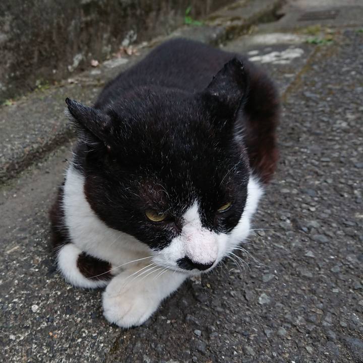 7b899b8b fdea 4916 a847 8af4f492955e 1657581216596