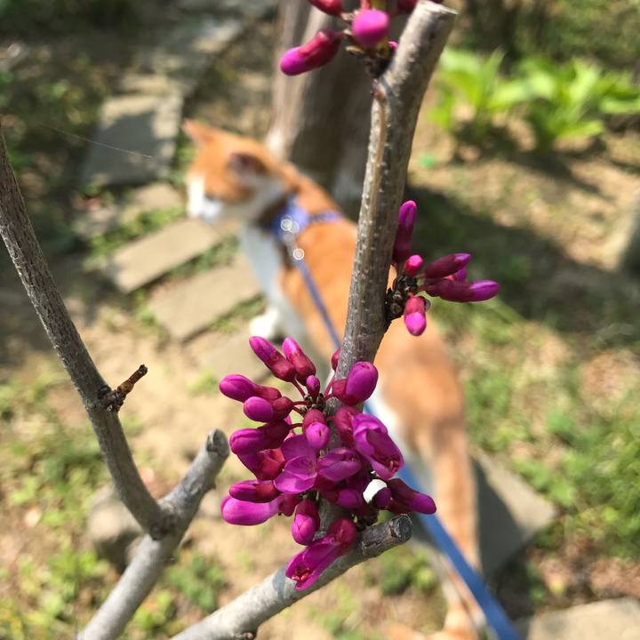 7b89ac40 0eb7 4ddb a2e3 b8458f452213 1524872554556