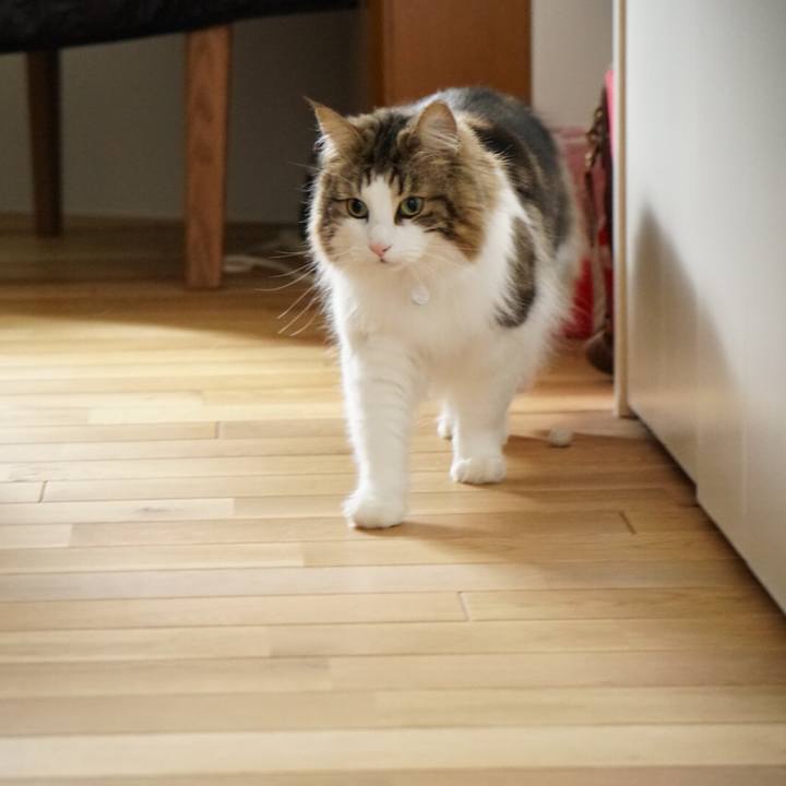 7b89bb08 f1b6 4623 9df0 243e50fdaed7 1550744896875