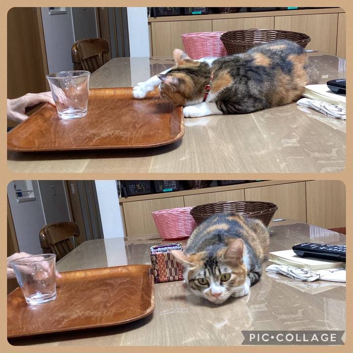 7b8a0000 d8b1 4e02 8607 81f8180d4ce0 1659942913284