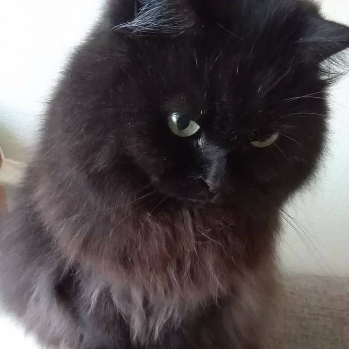 7b8a1676 6ebf 4167 9082 66ee7d09bebc 1578900184313