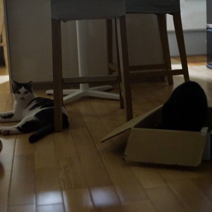 7b8a1969 91b7 495f 85b4 3b3af62e8013 1531407490723