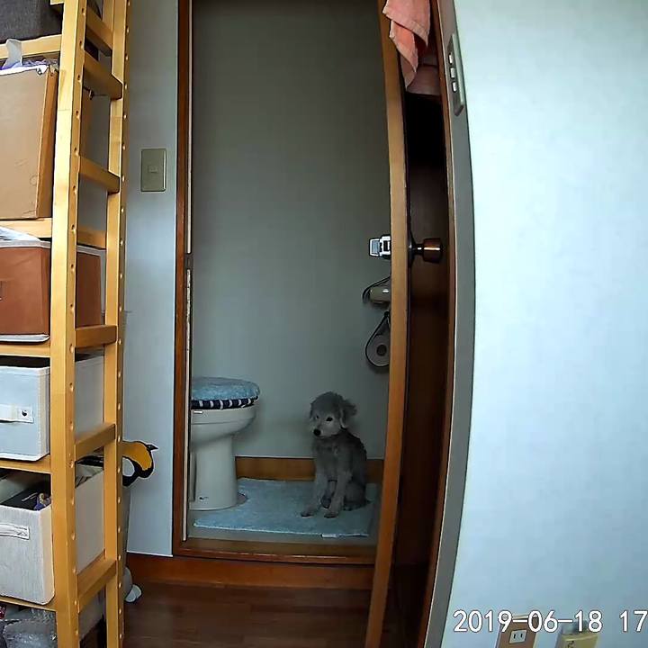 7b8a2903 d142 4eec a3c8 e0fb1a64a543 1560898571835