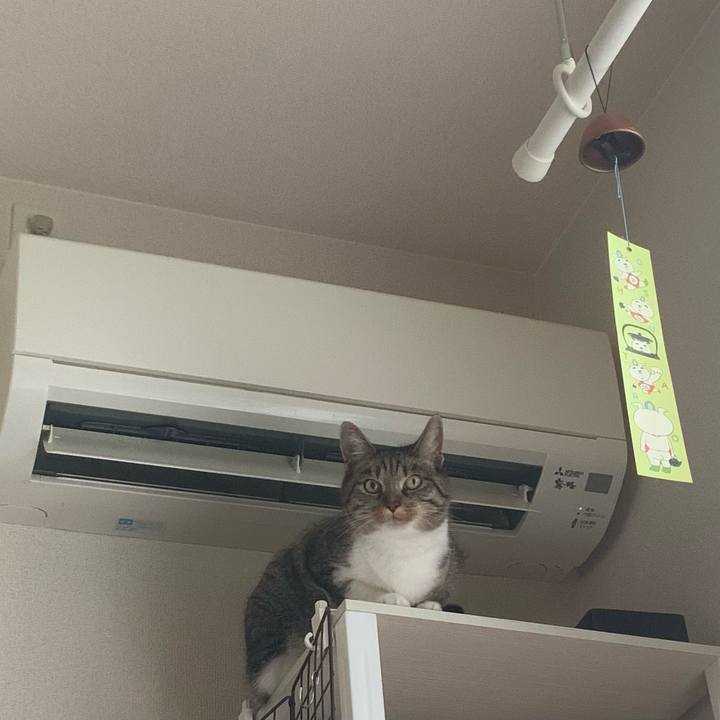 7b8a2ba3 68b9 4589 8c47 92368a24f966 1749514990823