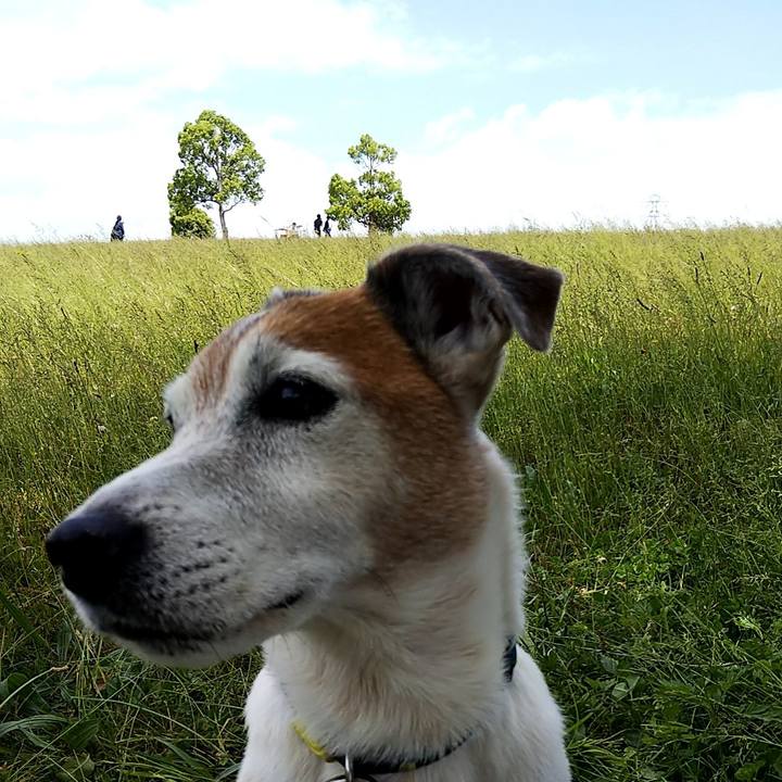 7b8a3038 323a 4373 8bd0 20959b8102e1 1558250819459