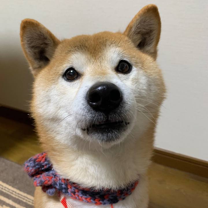 7b8a31d1 57eb 42ca 8246 2084990d1a9e 1579604256991