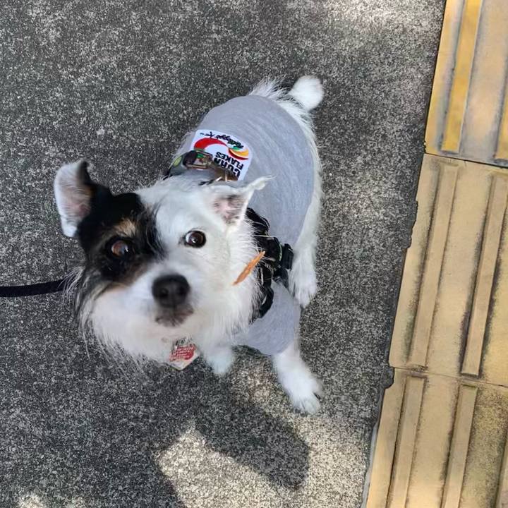 7b8a4528 f58a 49d5 9cff 18a64cc64f39 1683333353296