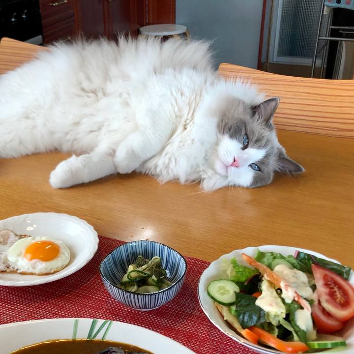 7b8aad17 d530 4750 bd45 18b76ddb59f0 1625532291316