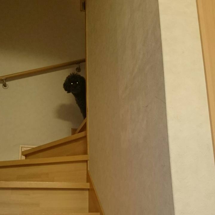 7b8b1a0b 2c59 4a65 bf25 d3767b258f11 1509971979647